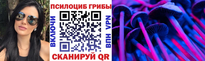 Псилоцибиновые грибы мицелий Жердевка